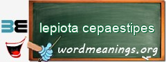WordMeaning blackboard for lepiota cepaestipes